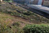 El Ayuntamiento de Cartagena elimina planta invasora del talud del Molinete y siembra la zona con esparto