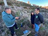 El Ayuntamiento de Lorca realiza una reforestación en la ladera norte del Castillo de Lorca para mitigar los efectos de la sequía y favorecer la sostenibilidad ambiental