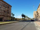 Parques y Jardines comienza la poda del medio centenar de palmeras de las avenidas Juan Carlos I y Juan de Borbón