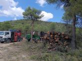 Trabajos de mejora forestal en la Sierra de Burete para una gestión sostenible del monte