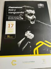 El artista lorquino, Nico Pelegrn, presentar su espectculo flamenco el viernes, 17 de febrero, en el Teatro Guerra