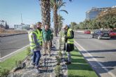El Ayuntamiento acondiciona la mediana de Ronda Sur en el tramo entre Patino y la rotonda de la avenida de Santa Catalina