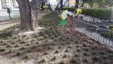 Parques y Jardines utiliza nuevas técnicas y materiales para embellecer las zonas verdes del municipio