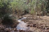 La Confederaci�n Hidrogr�fica del Segura impulsa una jornada de voluntariado ambiental en el r�o Ch�camo para divulgar y conservar su Reserva Natural Fluvial