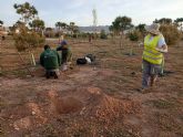 Continúan los trabajos de plantación de arbolado en distintos puntos de Águilas