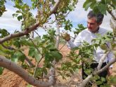 Agricultura concluye con xito un proyecto que revaloriza la cra de ovino Segureño del Noroeste en semiextensivo