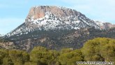 La Real Academia de Ingeniera de Espaa rinde un homenaje al Parque Regional de Sierra Espua y a Ricardo Codornu por su histrico proyecto de reforestacin