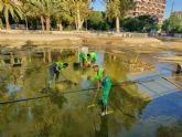 Finalizados los trabajos de vaciado, limpieza y desinfeccin del lago del jardn del Salitre