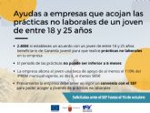 La Comunidad lanza una ayuda de 2.400 euros a empresas que acojan prcticas no laborales de jvenes