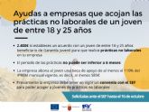 La Comunidad lanza una ayuda de 2.400 euros a empresas que acojan prcticas no laborales de jvenes