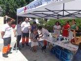 Cruz Roja realiza en Caravaca la campaña informativa ‘Yo me protejo de la ola de calor’