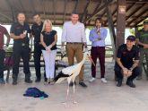520 animales han sido liberados este año tras recuperarse de diversas lesiones en las instalaciones de la Comunidad