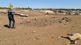 La Guardia Civil detiene a un granjero en Mula por un grave caso de abandono y maltrato animal