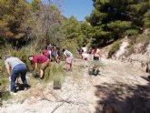 Los scouts de Lorca finalizan el proyecto de apadrinamiento 'Luchena Way' del Proyecto Libera
