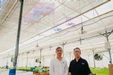 Primeros resultados de un proyecto piloto para generar energ�a solar en invernadero
