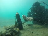 ANSE obtiene avances sobre el comportamiento de la anguila europea en el Mar Menor