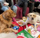 El impacto del vnculo humano-animal: Cmo los perros de terapia estn transformando la salud mental en los hospitales espanoles