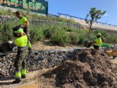 Obtienen ms de 100.000 kilos de 'mulching' de las cañas extradas del ro tras la DANA