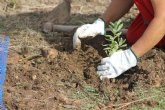 Voluntarios plantan un pequeño jardín para polinizadores que rinda homenaje a los antepasados en La Magdalena, Cartagena