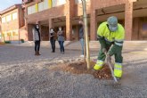 Comienza la plantación de 70 nuevos árboles en 21 centros escolares del municipio