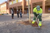 Comienza la plantacin de 70 nuevos rboles en 21 centros escolares del municipio