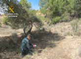 La Guardia Civil investiga a tres cazadores por disparar a un perro en Caravaca de la Cruz