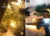 La Guardia Civil desmantela un activo punto de cultivo y venta de marihuana