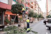 El nuevo contrato de jardinera ampliar el nmero de actuaciones de este servicio municipal