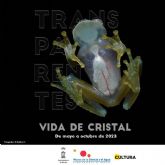 El Museo de la Ciencia y el Agua invita a descubrir los misterios de los animales transparentes