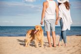 10 motivos por los que los viajes dog-friendly son una oportunidad para el turismo en España
