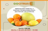 GOCITRUS organiza un evento online para analizar la innovacin varietal y las nuevas tecnologas en el sector de los ctricos