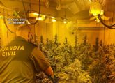 La Guardia Civil desmantela en Fortuna un punto de cultivo ilcito de marihuana