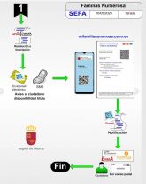 El Gobierno regional digitaliza la gesti�n de los t�tulos de familia numerosa y simplifica los tr�mites para m�s de 60.000 familias