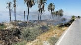 Servicios de emergencia dan por finalizada la extincin del incendio declarado en la rambla de Biznaga