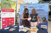 Sanidad reactiva como cada verano la campana contra el mosquito tigre