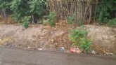 El PSOE denuncia nuevamente la acumulación de basuras en el entorno del Malecón