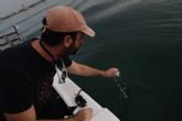 La Universidad de Murcia lidera la investigaci�n cient�fica y la monitorizaci�n digital para la recuperaci�n del Mar Menor