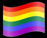 Una investigadora analiza una d�cada del Orgullo LGTB en España