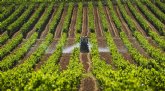 Más de 4.800 agricultores de la Región de Murcia han recibido ya un total de 5,3 millones de euros de las ayudas por el encarecimiento de los fertilizantes