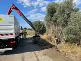 Transportes adjudica por 16,4 millones de euros un contrato para la conservacin de 122 kilmetros de carreteras en Murcia