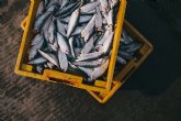 La dieta del pescador, una gran ayuda para mantener el organismo en guardia, según Salud y remedios