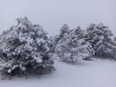 Se encuentra cerrado al trfico el acceso a Sierra Espuna a la altura de Las Alqueras por la nieve