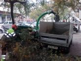 Parques y Jardines comienza a usar una biotrituradoras para reutilizar los restos de las ramas podadas como abono