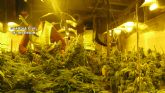 La Guardia Civil desmantela un invernadero dedicado al cultivo intensivo de marihuana