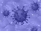 Casos confirmados de infectados por coronavirus COVID19 en Fortuna