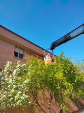 Lorca se convierte en 