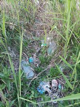 Actividad de limpieza y recogida de residuos en el barranco de Los Cabaniles a su paso por el ncleo urbano