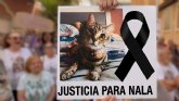 PACMA, junto a diversos colectivos animalistas, exige justicia ante el 'brutal asesinato' de la gata Nala en Torrevieja