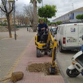 Nuevas plantaciones para reforzar las zonas verdes y mejorar los espacios de sombra en el municipio⁣