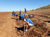 Los empleados de Hidrogea colaboran con ANSE plantando especies autctonas para ayudar a frenar la aportacin de nitratos al Mar Menor